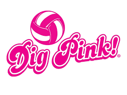 Bel Air Volleyball’s Annual Dig Pink Game