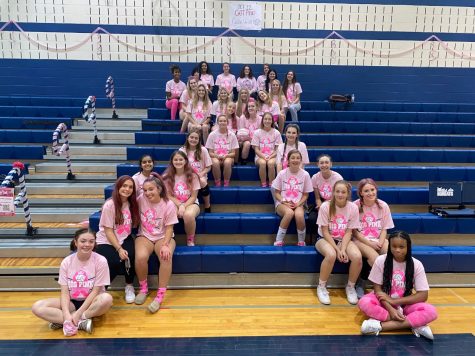 Girls Volleyball Takes Down Rising Sun In Dig Pink Game