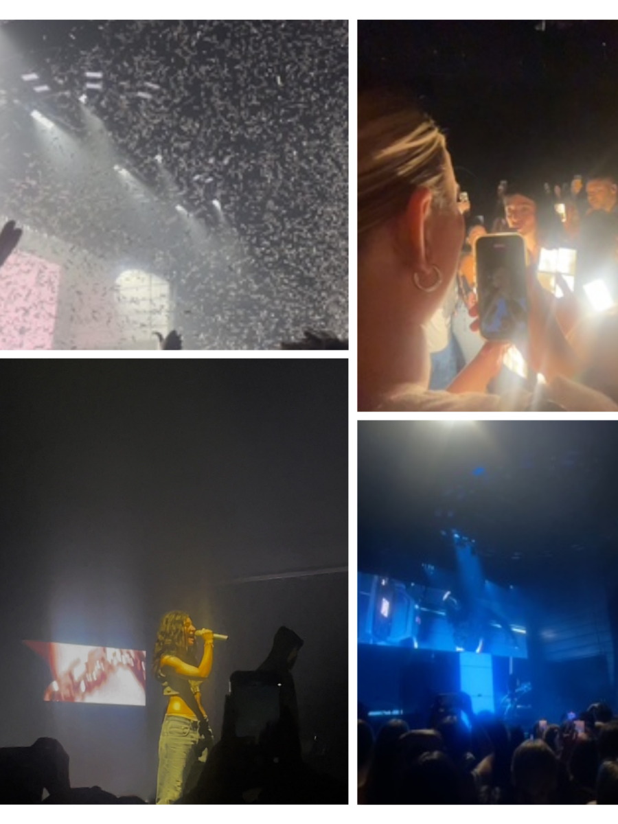 Fans Will Forever Remember the Rush of Lorde’s Ultrasound Tour